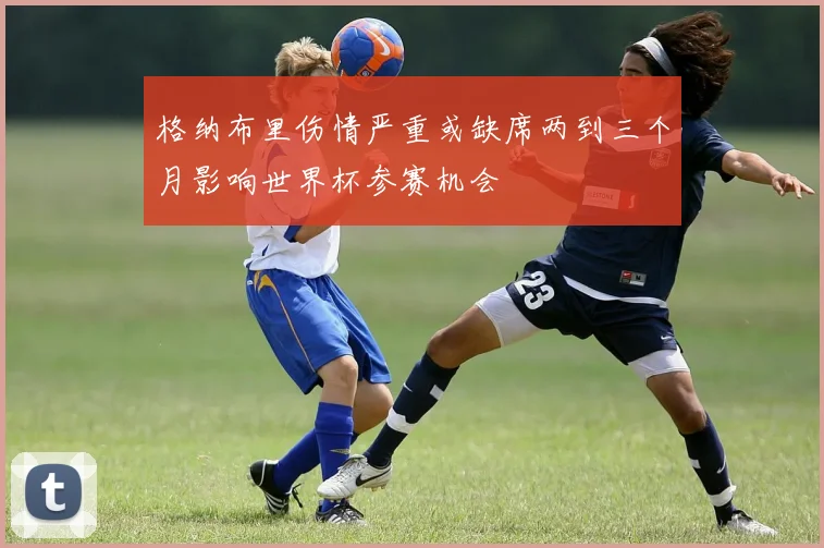 格纳布里伤情严重或缺席两到三个月影响世界杯参赛机会